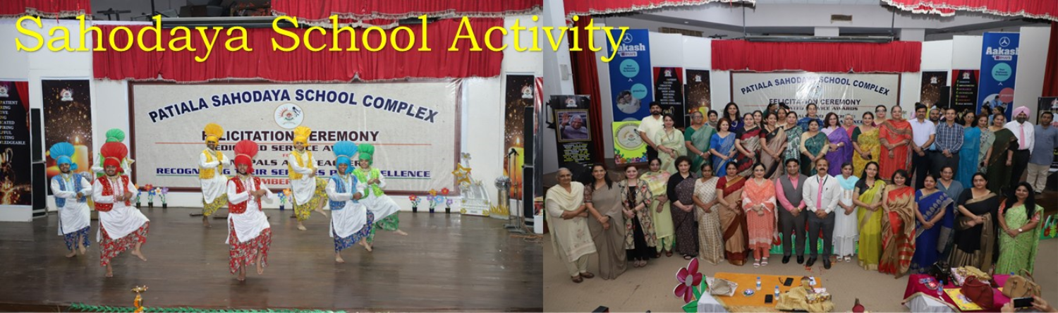 Sahodaya School Activity